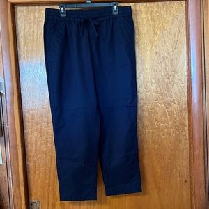 Re-Imagined by J. Crew pants NWT size L Navy Cotton/Polyester/Lyocell